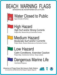 A Guide to Beach Flags on the Gulf Coast
